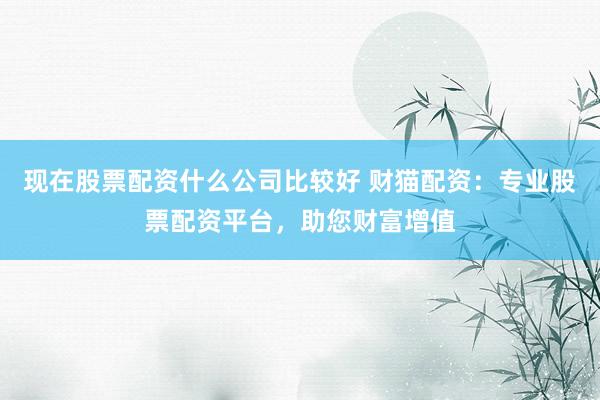 现在股票配资什么公司比较好 财猫配资：专业股票配资平台，助您财富增值