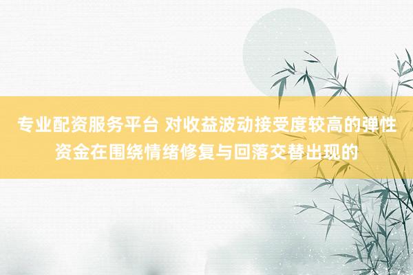 专业配资服务平台 对收益波动接受度较高的弹性资金在围绕情绪修复与回落交替出现的