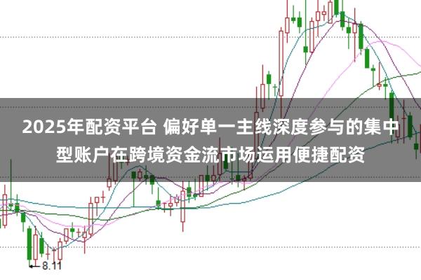 2025年配资平台 偏好单一主线深度参与的集中型账户在跨境资金流市场运用便捷配资