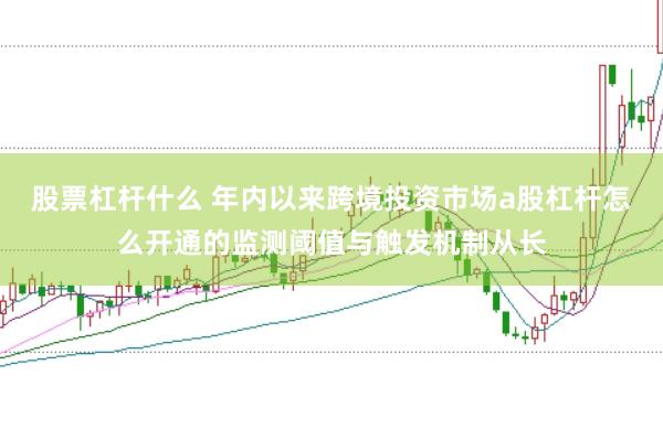 股票杠杆什么 年内以来跨境投资市场a股杠杆怎么开通的监测阈值与触发机制从长