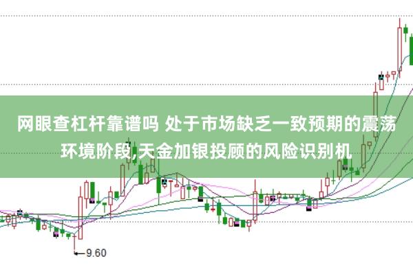网眼查杠杆靠谱吗 处于市场缺乏一致预期的震荡环境阶段，天金加银投顾的风险识别机