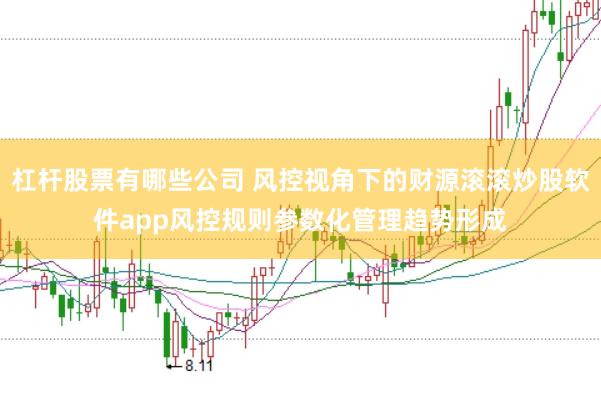 杠杆股票有哪些公司 风控视角下的财源滚滚炒股软件app风控规则参数化管理趋势形成