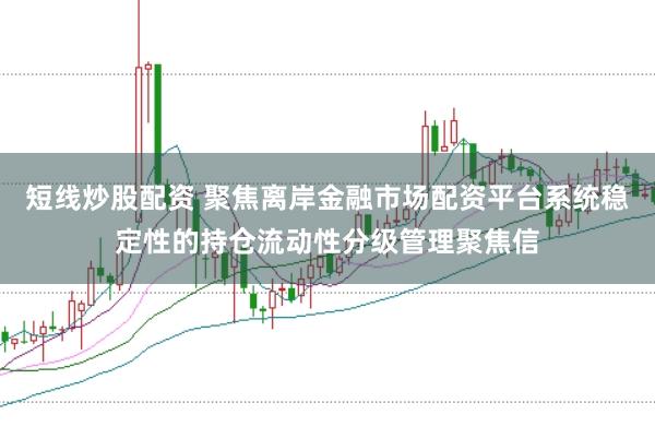 短线炒股配资 聚焦离岸金融市场配资平台系统稳定性的持仓流动性分级管理聚焦信