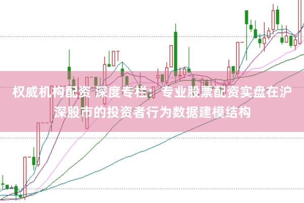权威机构配资 深度专栏：专业股票配资实盘在沪深股市的投资者行为数据建模结构