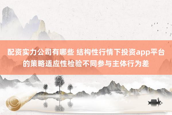 配资实力公司有哪些 结构性行情下投资app平台的策略适应性检验不同参与主体行为差