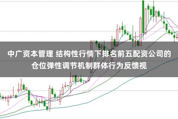 中广资本管理 结构性行情下排名前五配资公司的仓位弹性调节机制群体行为反馈视