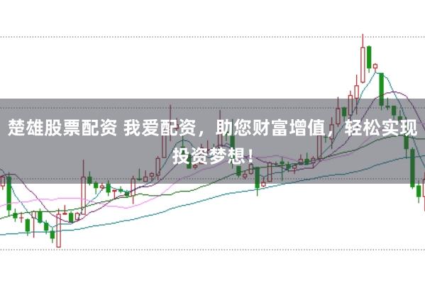 楚雄股票配资 我爱配资，助您财富增值，轻松实现投资梦想！