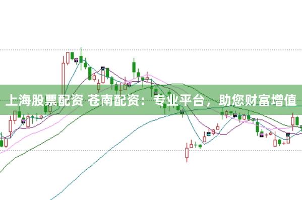 上海股票配资 苍南配资：专业平台，助您财富增值