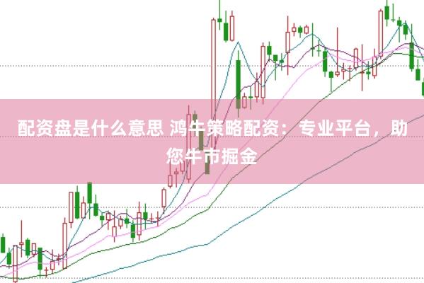 配资盘是什么意思 鸿牛策略配资：专业平台，助您牛市掘金