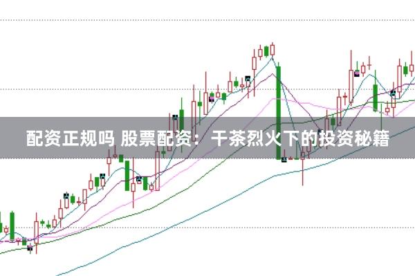 配资正规吗 股票配资：干茶烈火下的投资秘籍