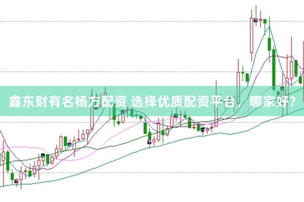鑫东财有名杨方配资 选择优质配资平台，哪家好？
